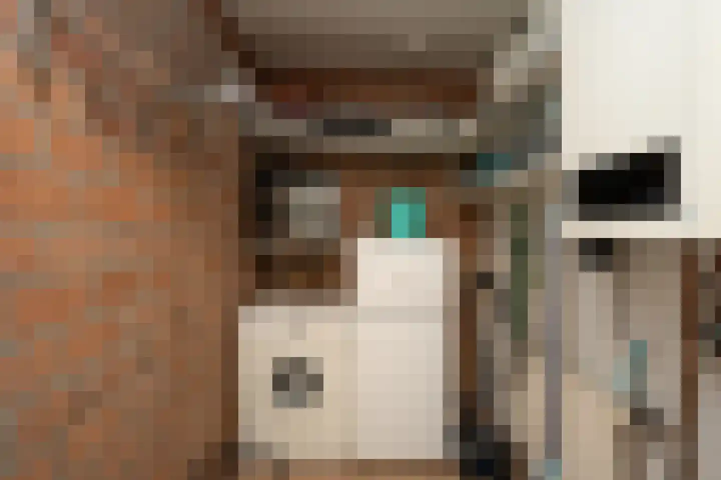 Gerritslanderdijkje 192 Den Burg thumbnail 22