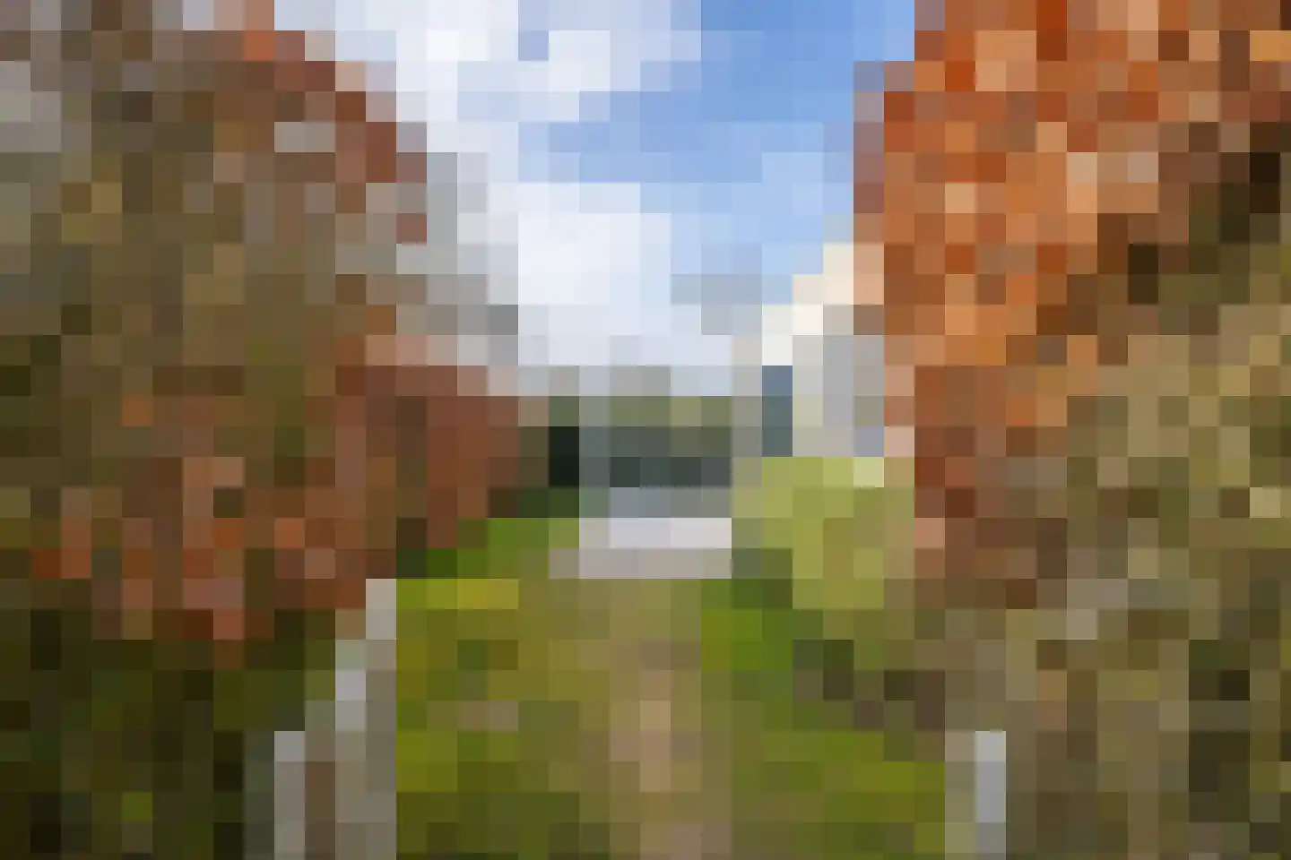 Gerritslanderdijkje 192 Den Burg thumbnail 28