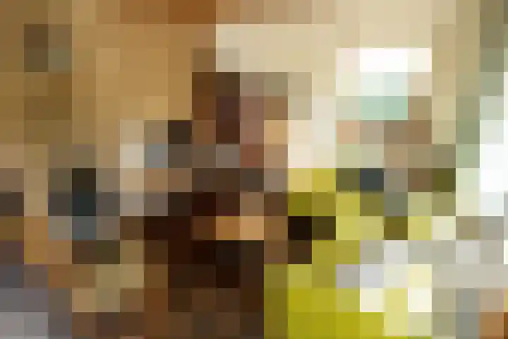 Gerritslanderdijkje 232 Den Burg thumbnail 11