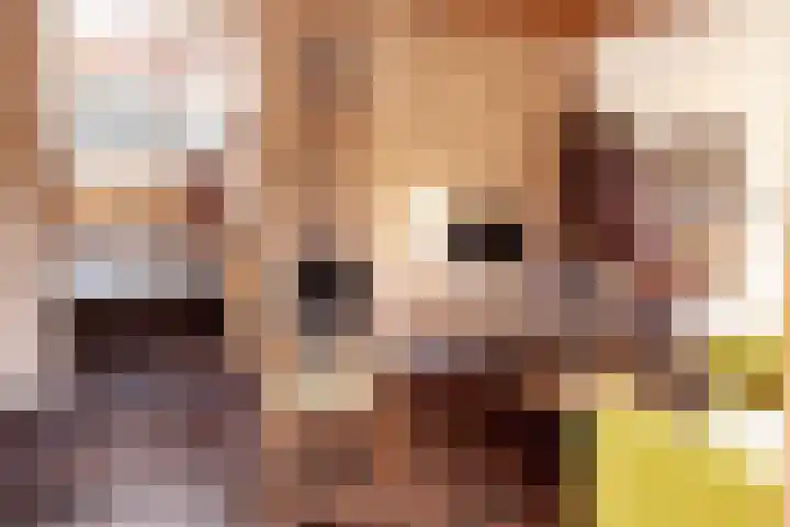 Gerritslanderdijkje 232 Den Burg thumbnail 12