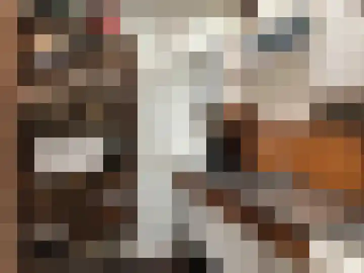 Gerritslanderdijkje 232 Den Burg thumbnail 17