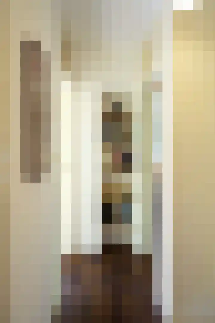 Gerritslanderdijkje 232 Den Burg thumbnail 18