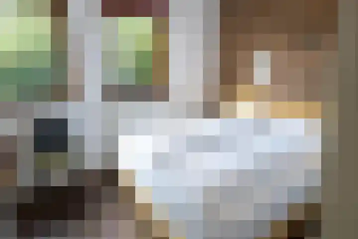 Gerritslanderdijkje 232 Den Burg thumbnail 19