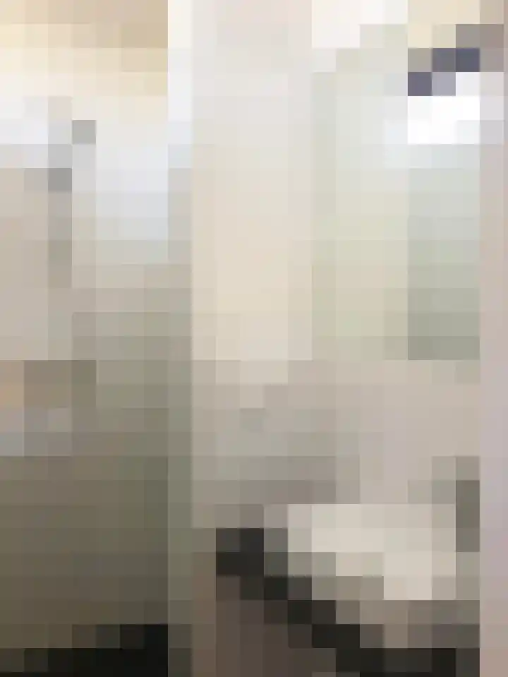 Gerritslanderdijkje 232 Den Burg thumbnail 20