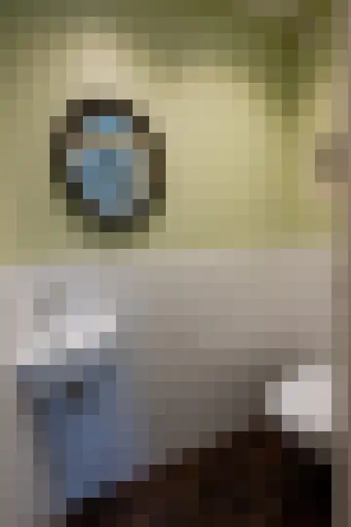 Gerritslanderdijkje 232 Den Burg thumbnail 25