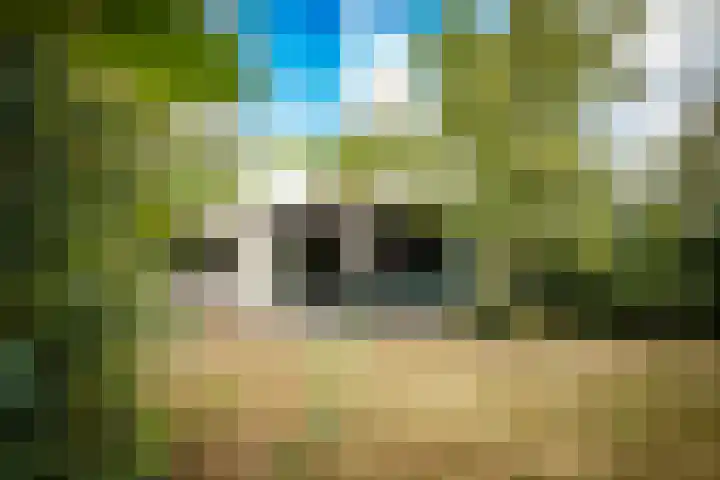 Gerritslanderdijkje 232 Den Burg foto 3