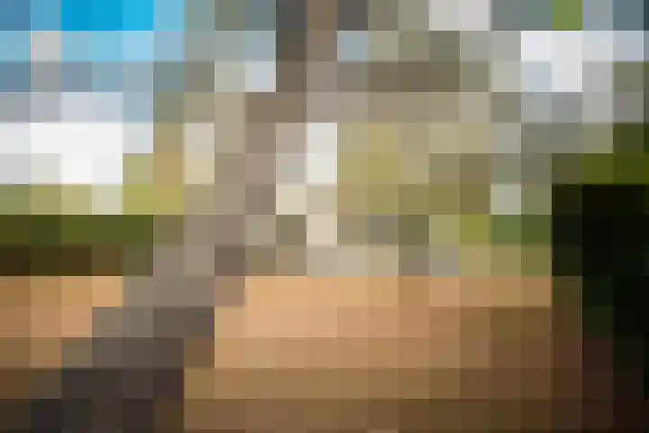 Gerritslanderdijkje 232 Den Burg thumbnail 4