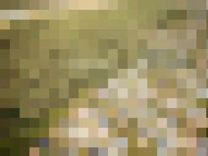 Gerritslanderdijkje 232 Den Burg thumbnail 6