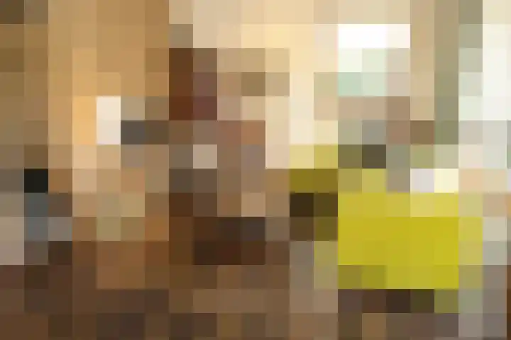 Gerritslanderdijkje 232 Den Burg thumbnail 9