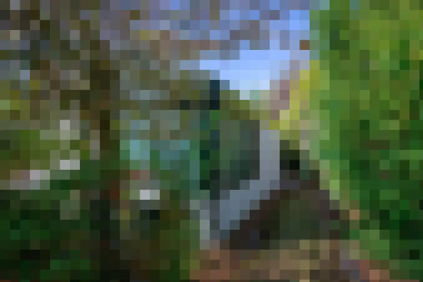 Gerritslanderdijkje 250 Den Burg thumbnail 24