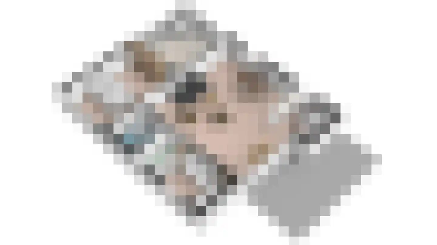 Gerritslanderdijkje 250 Den Burg thumbnail 29