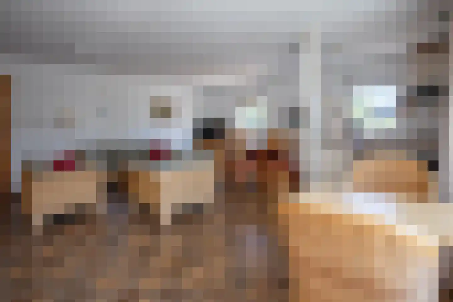 Gerritslanderdijkje 250 Den Burg thumbnail 6