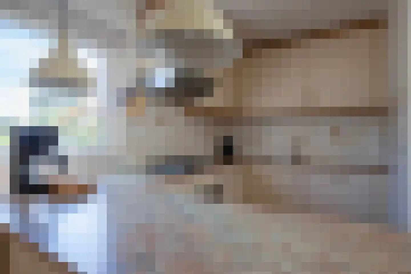 Gerritslanderdijkje 250 Den Burg thumbnail 9