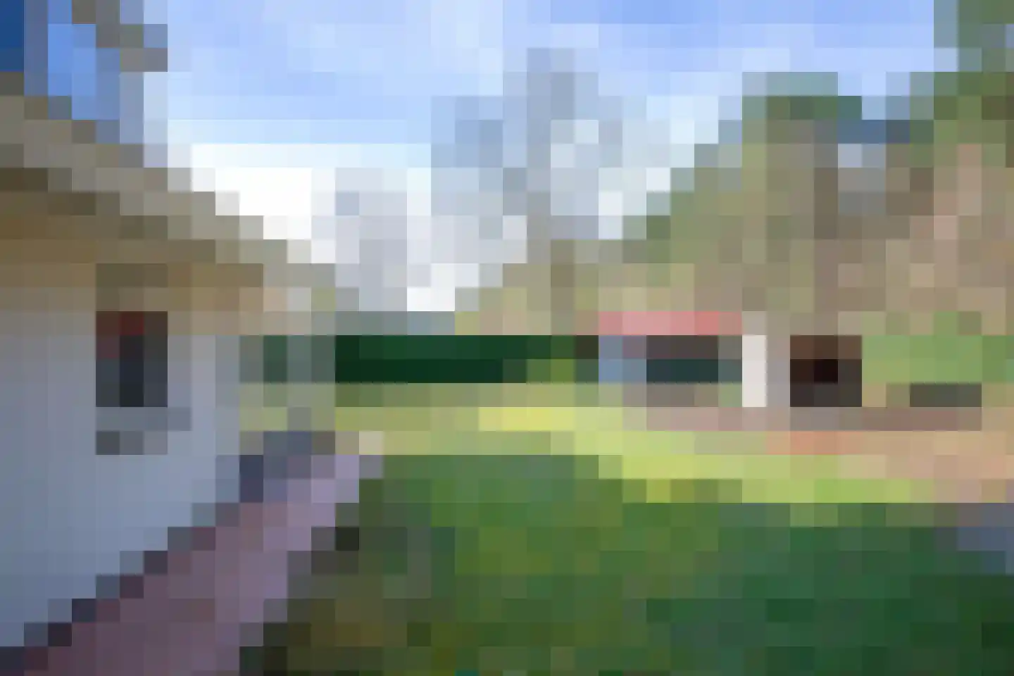 Gerritslanderdijkje 278 Den Burg thumbnail 28