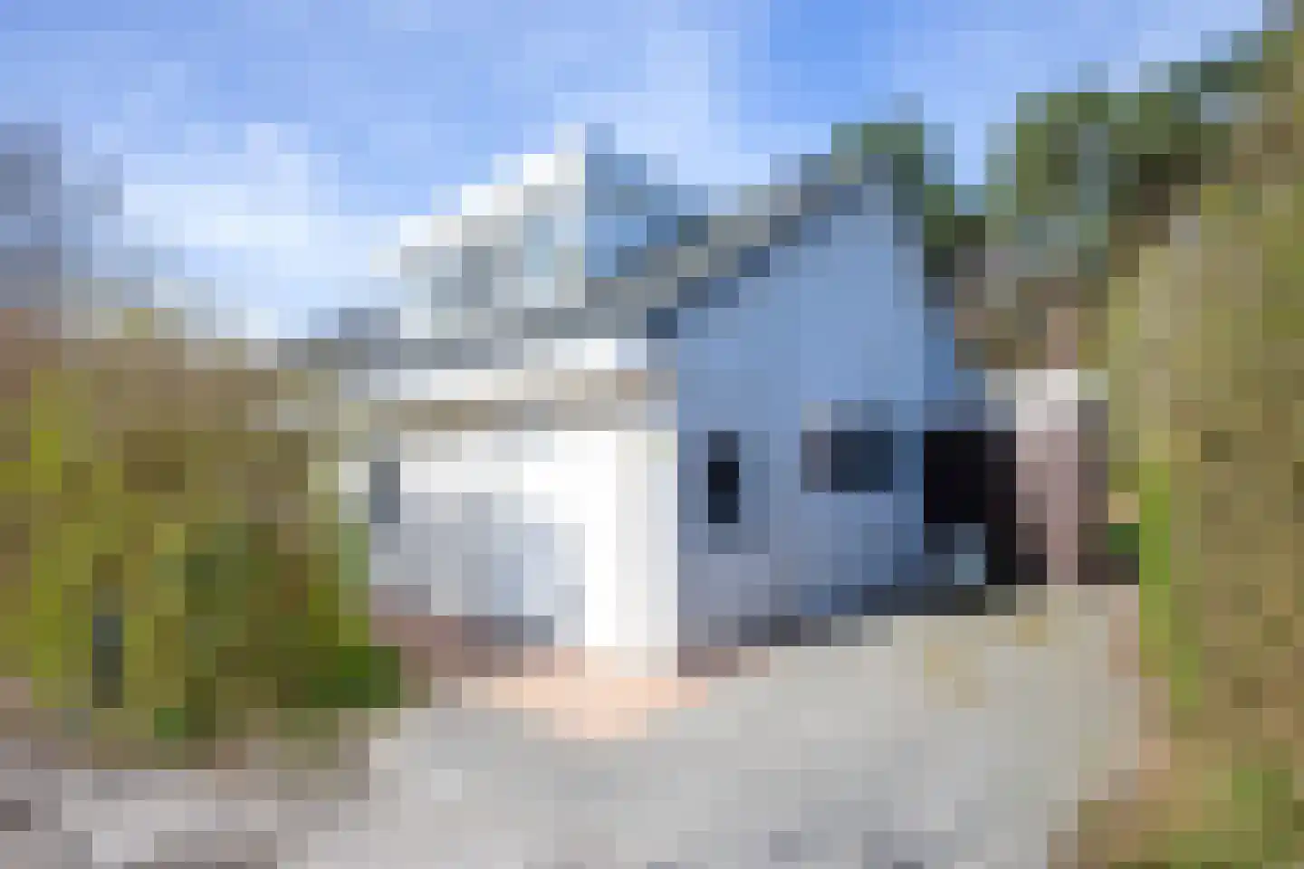 Gerritslanderdijkje 278 Den Burg thumbnail 30