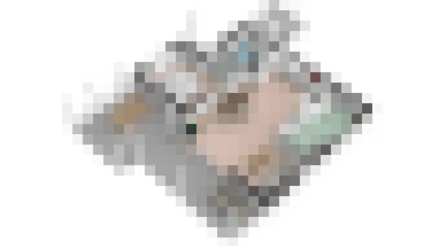 Gerritslanderdijkje 278 Den Burg thumbnail 38