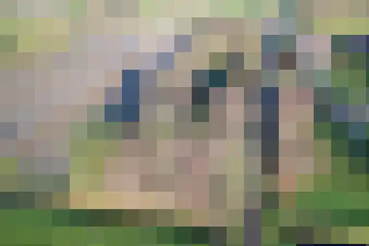 Gerritslanderdijkje 33 Den Burg thumbnail 10