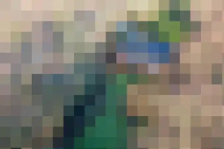 Gerritslanderdijkje 33 Den Burg thumbnail 12