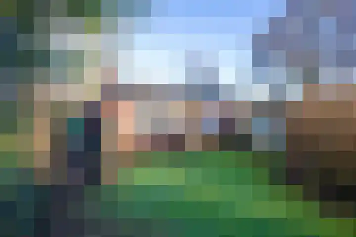 Gerritslanderdijkje 33 Den Burg thumbnail 14