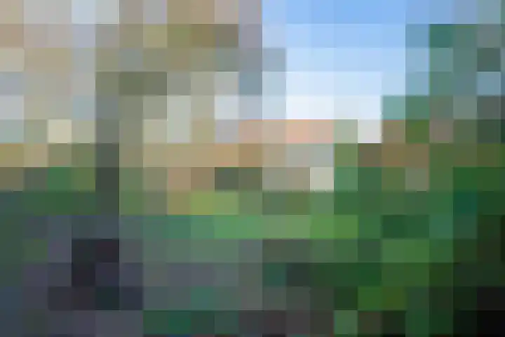 Gerritslanderdijkje 33 Den Burg thumbnail 15