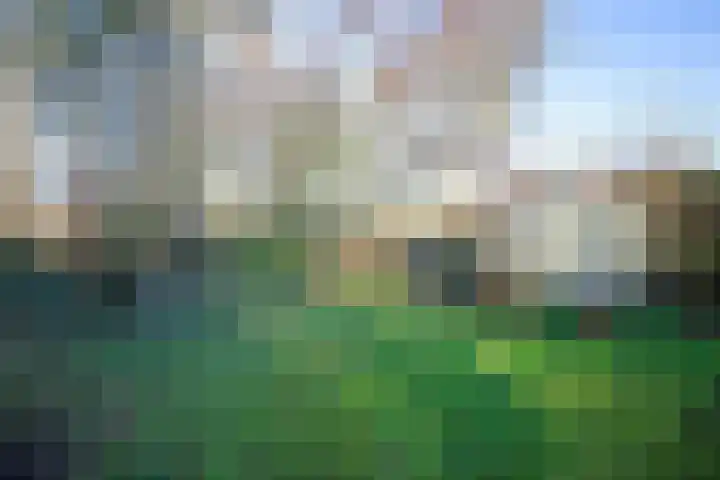 Gerritslanderdijkje 33 Den Burg thumbnail 16