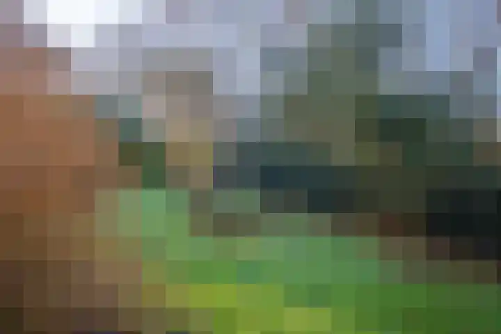 Gerritslanderdijkje 33 Den Burg thumbnail 17