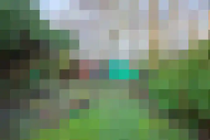 Gerritslanderdijkje 33 Den Burg thumbnail 18