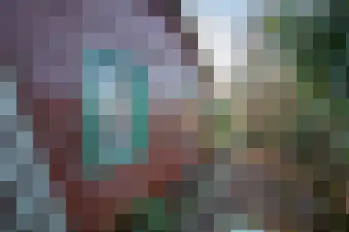 Gerritslanderdijkje 33 Den Burg thumbnail 22