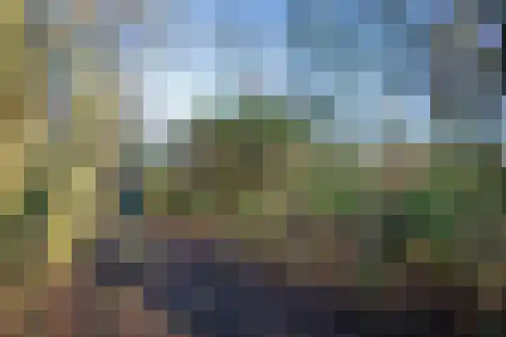 Gerritslanderdijkje 33 Den Burg thumbnail 23