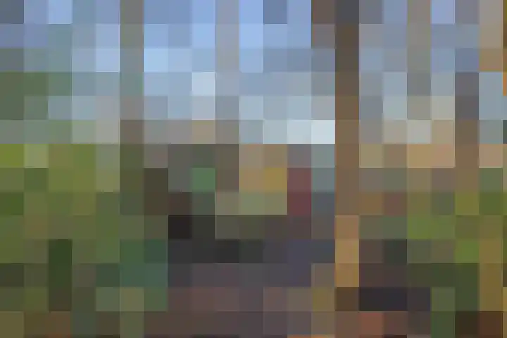 Gerritslanderdijkje 33 Den Burg thumbnail 24