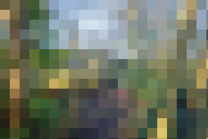 Gerritslanderdijkje 33 Den Burg thumbnail 25
