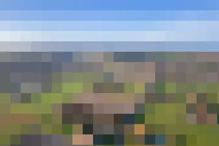 Gerritslanderdijkje 33 Den Burg thumbnail 26
