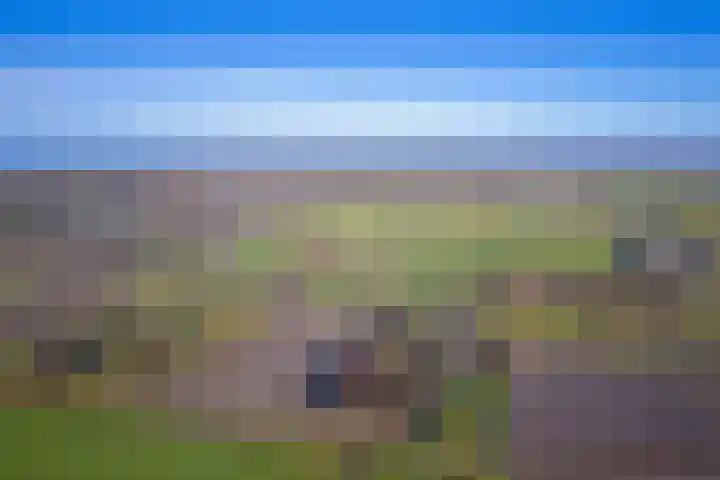 Gerritslanderdijkje 33 Den Burg thumbnail 28