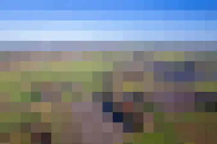 Gerritslanderdijkje 33 Den Burg thumbnail 29