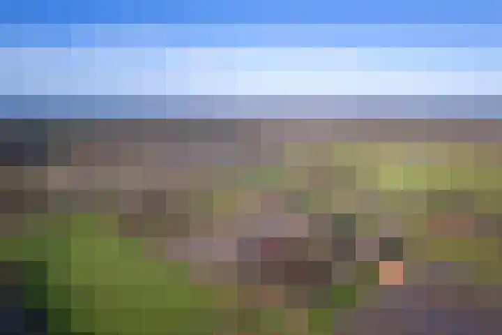 Gerritslanderdijkje 33 Den Burg thumbnail 4