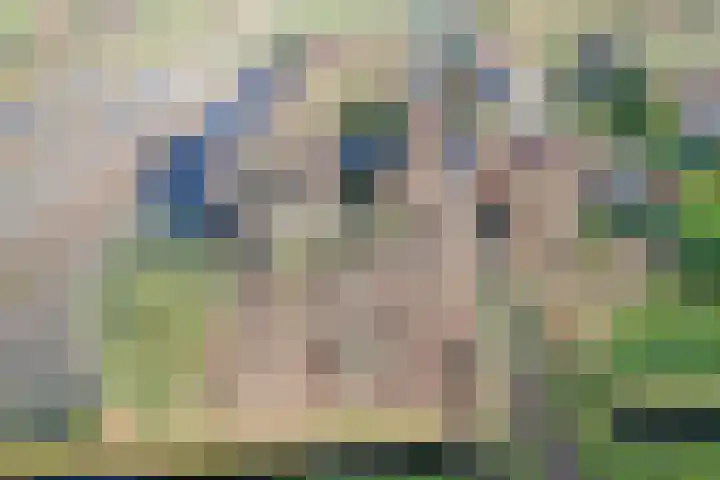 Gerritslanderdijkje 33 Den Burg thumbnail 7