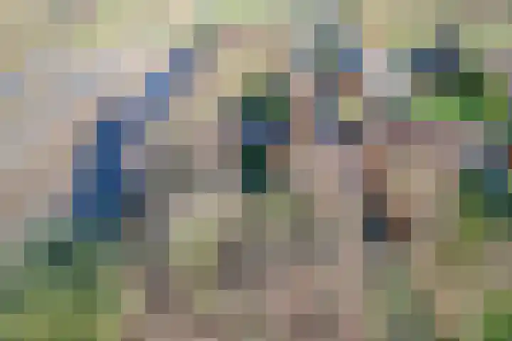 Gerritslanderdijkje 33 Den Burg thumbnail 8