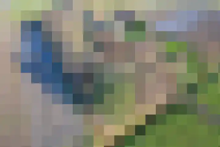 Gerritslanderdijkje 33 Den Burg thumbnail 9