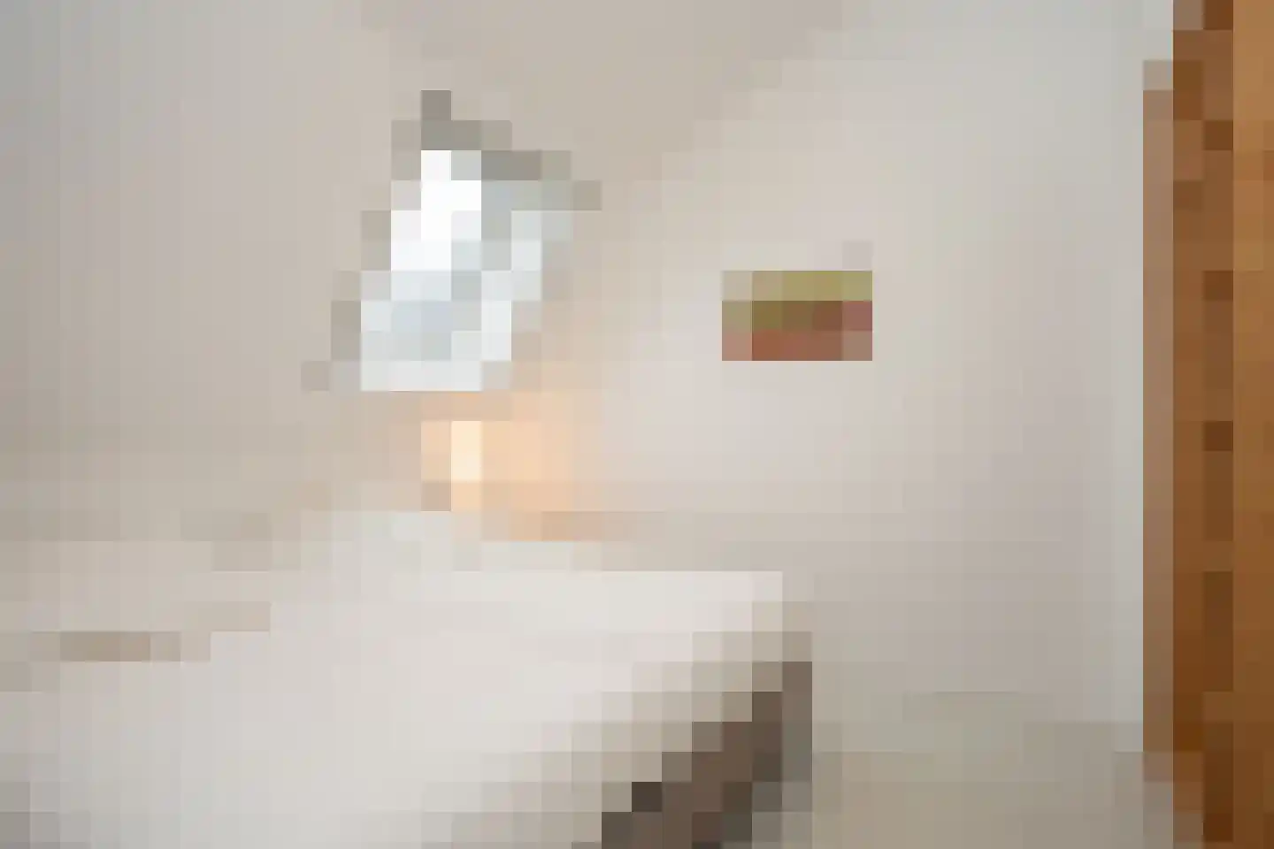 Gerritslanderdijkje 45 Den Burg thumbnail 10