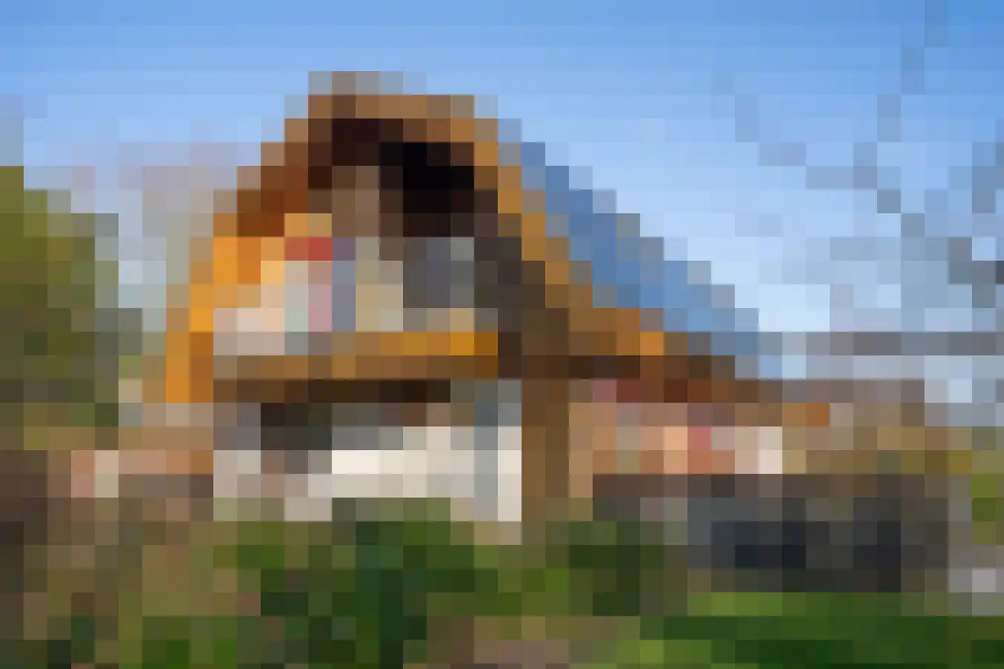 Gerritslanderdijkje 45 Den Burg thumbnail 15