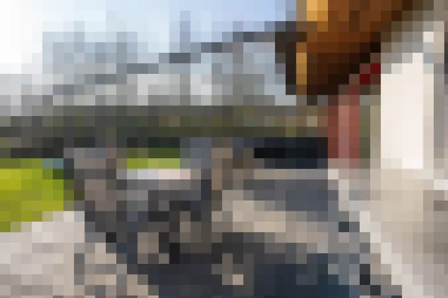Gerritslanderdijkje 45 Den Burg thumbnail 19