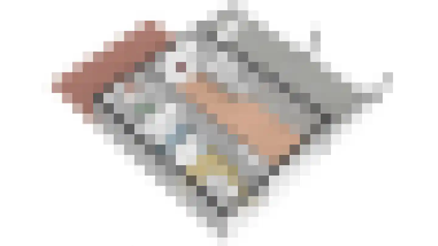 Gerritslanderdijkje 45 Den Burg thumbnail 29