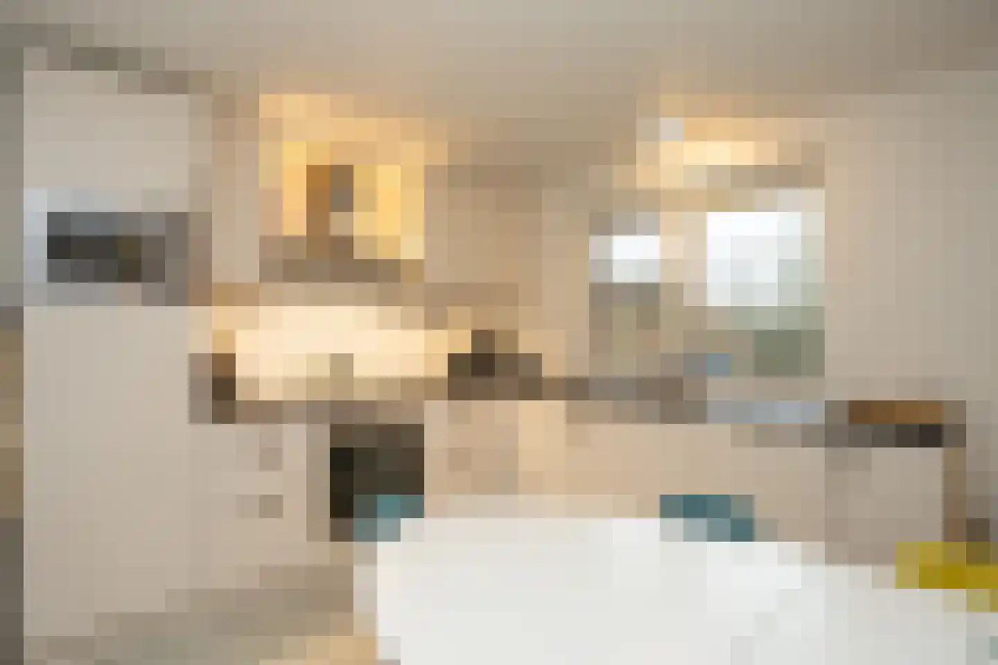 Gerritslanderdijkje 45 Den Burg thumbnail 5