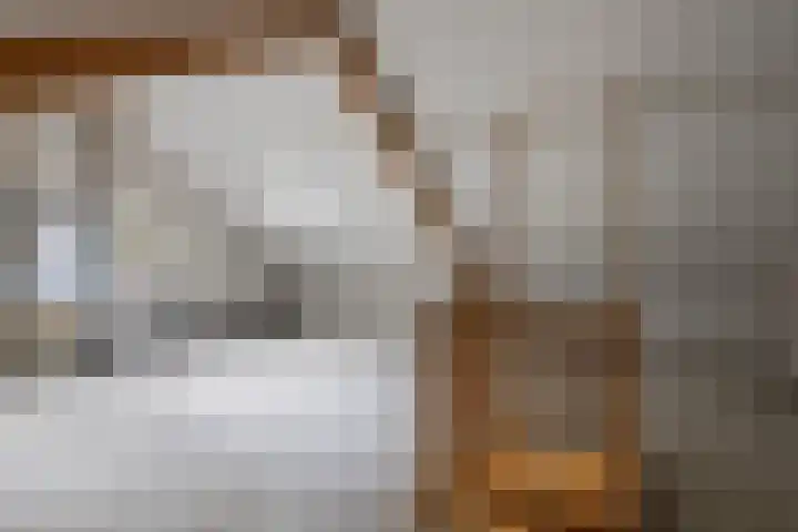 Gerritsstraat 26 Diever thumbnail 13