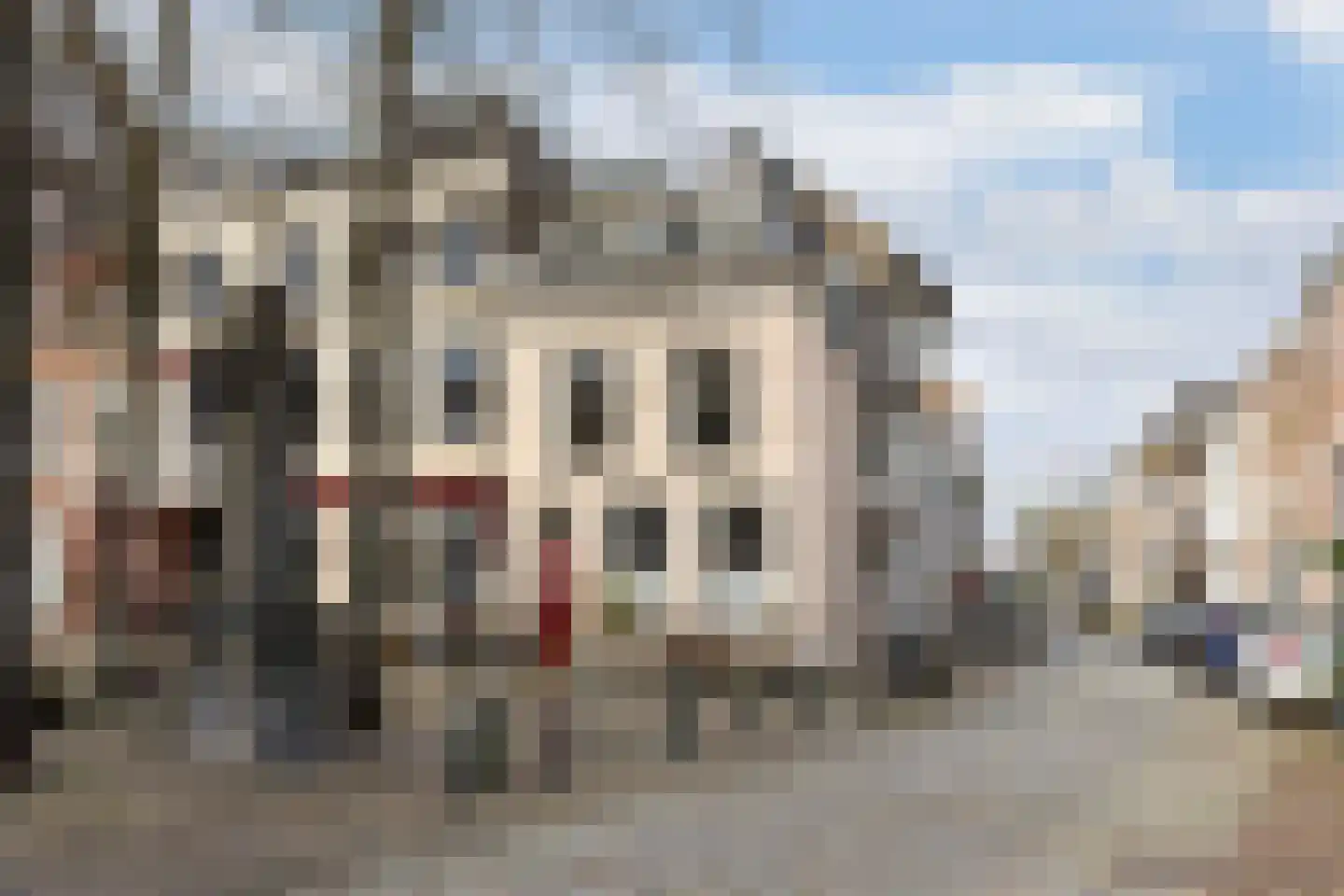 Gerritsstraat 26 Diever thumbnail 7