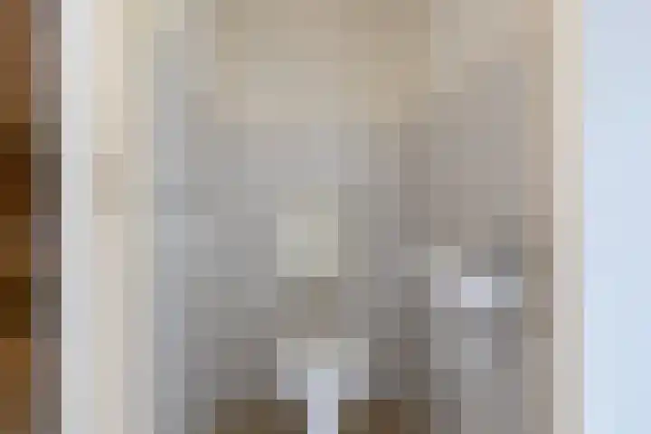 Gerritsstraat 26 Diever thumbnail 7