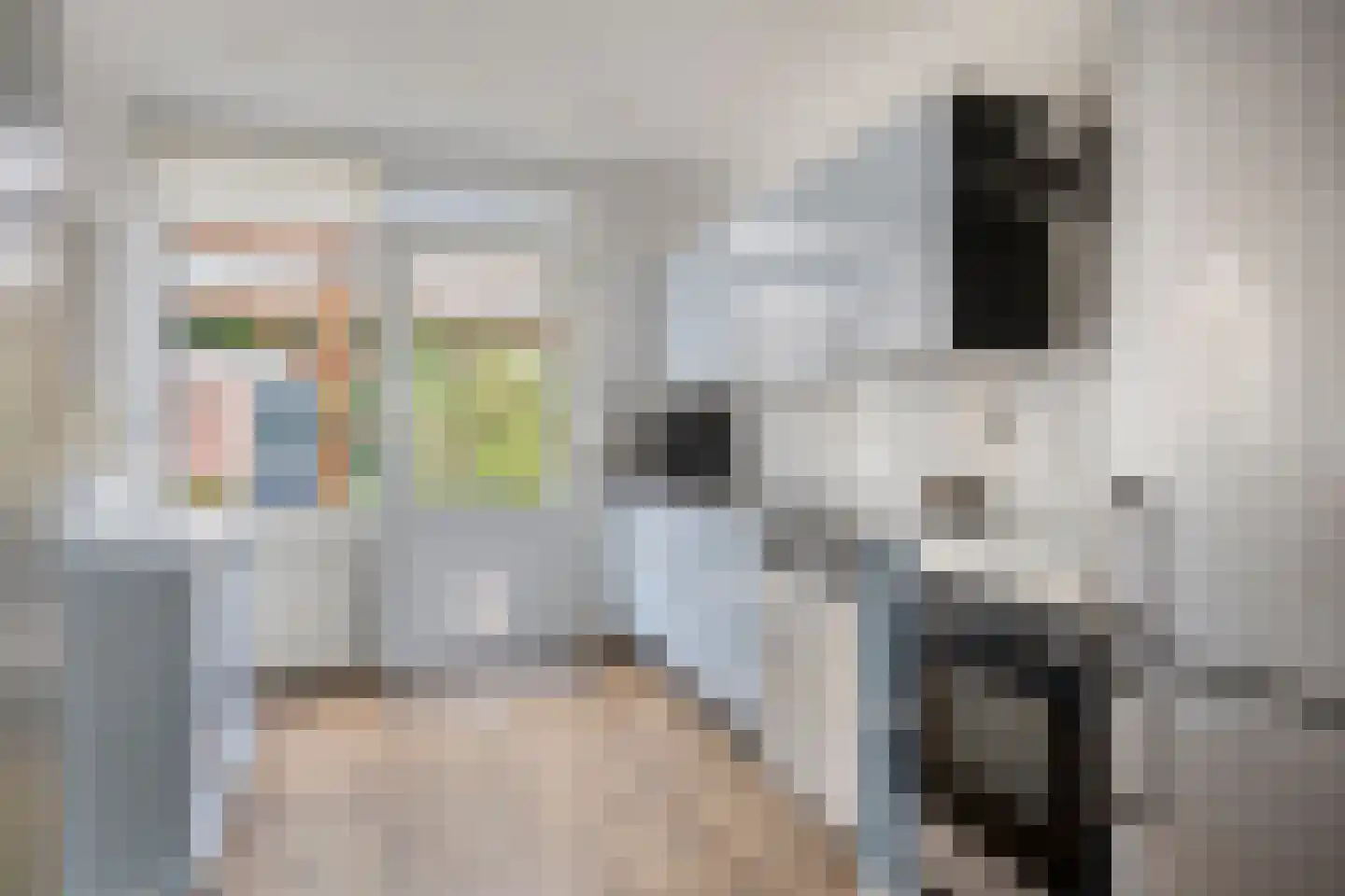 Gerritsstraat 49 Diever thumbnail 13