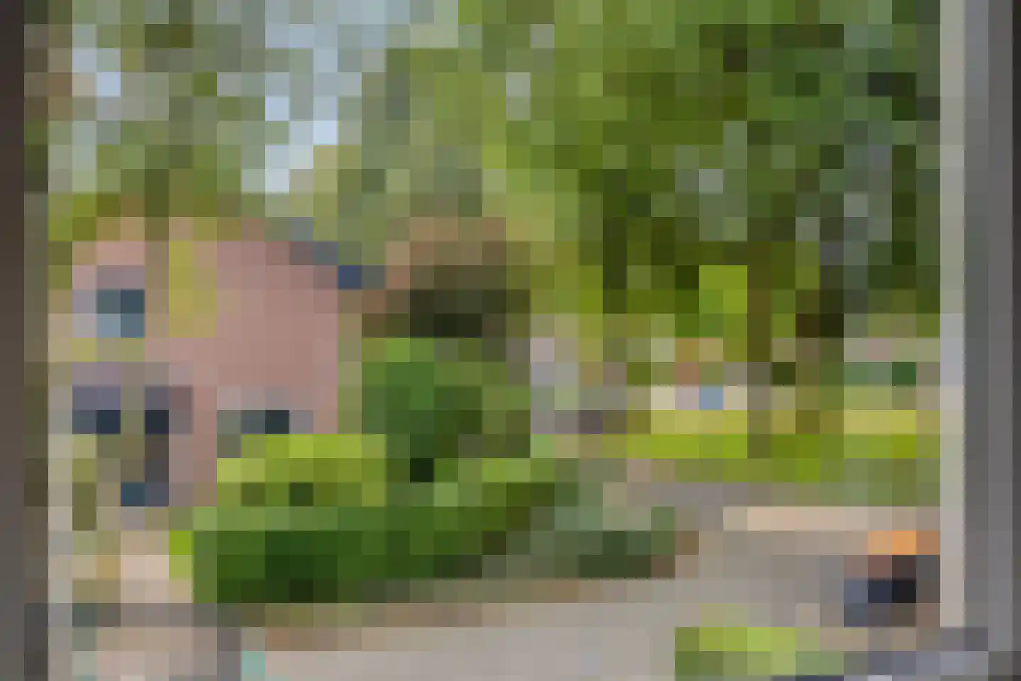 Gerritsstraat 49 Diever thumbnail 21