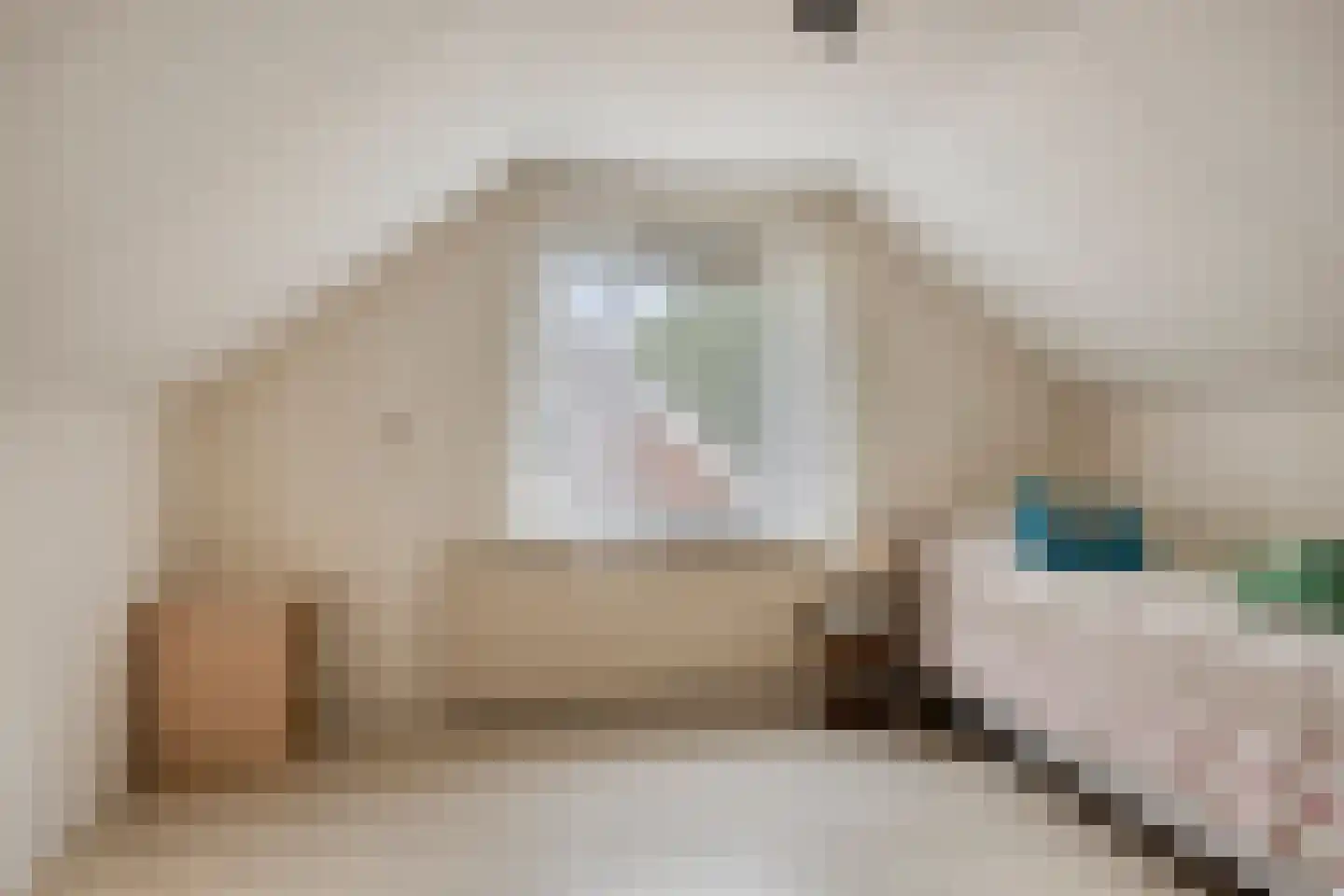 Gerritsstraat 49 Diever thumbnail 25