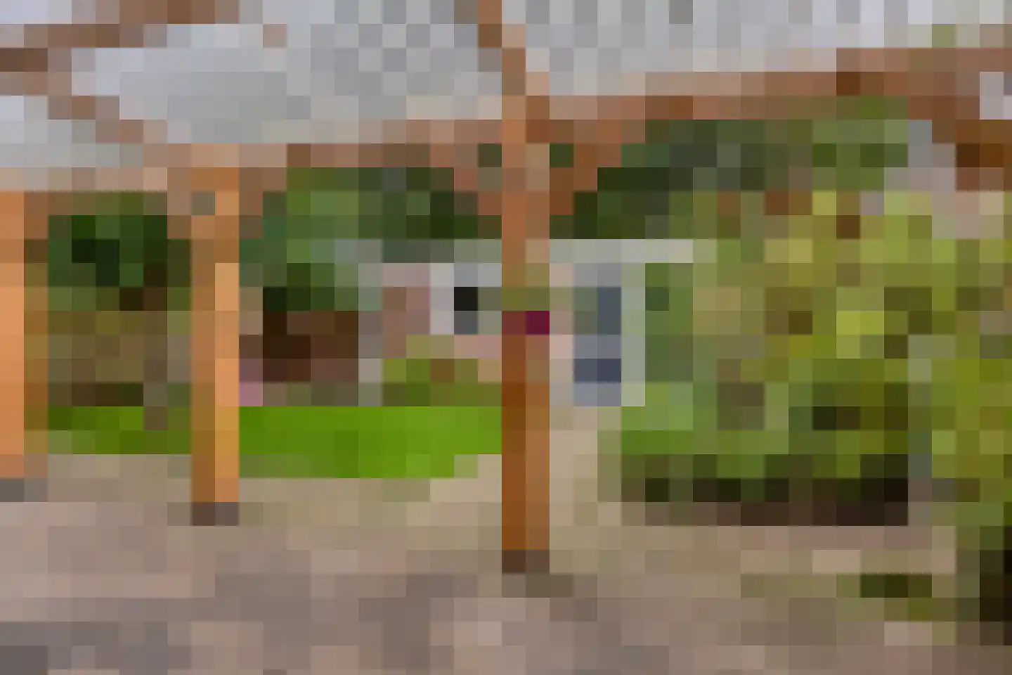 Gerritsstraat 49 Diever thumbnail 30